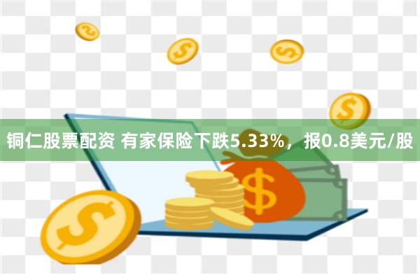 铜仁股票配资 有家保险下跌5.33%，报0.8美元/股