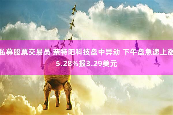 私募股票交易员 奈特阳科技盘中异动 下午盘急速上涨5.28%报3.29美元