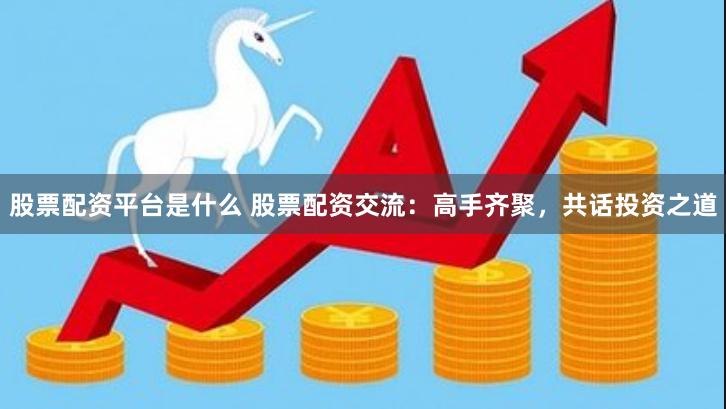 股票配资平台是什么 股票配资交流：高手齐聚，共话投资之道