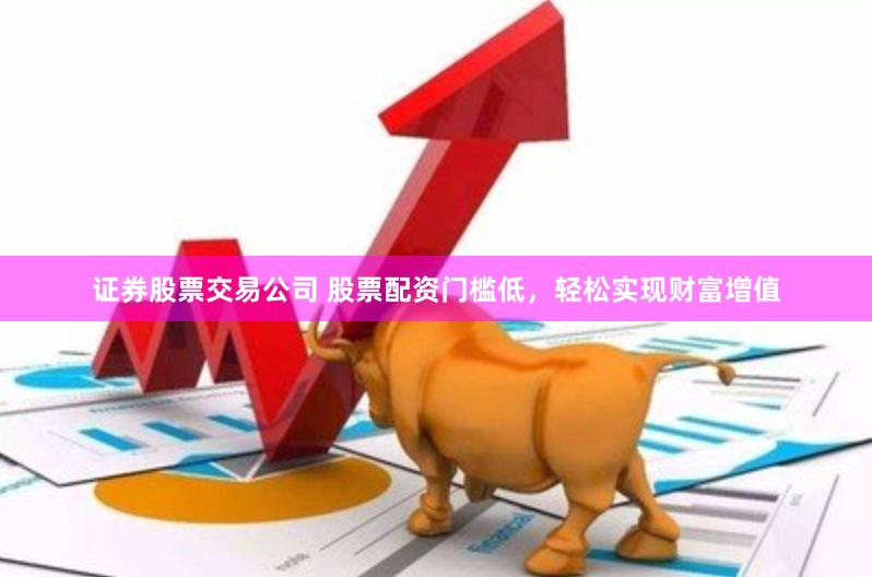 证券股票交易公司 股票配资门槛低，轻松实现财富增值