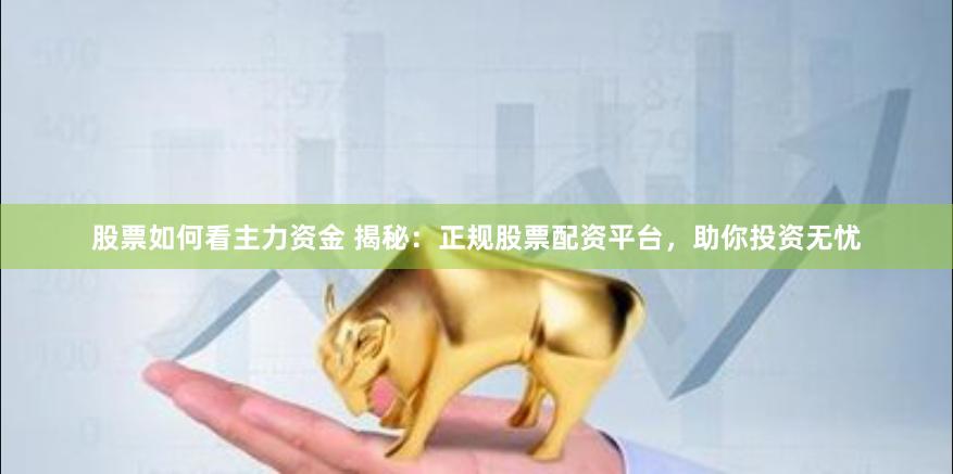 股票如何看主力资金 揭秘：正规股票配资平台，助你投资无忧