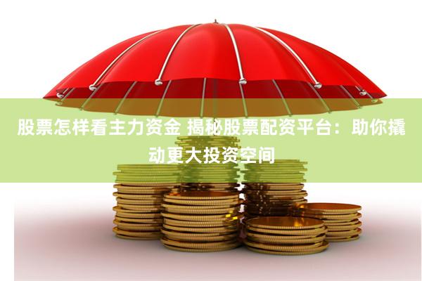 股票怎样看主力资金 揭秘股票配资平台：助你撬动更大投资空间