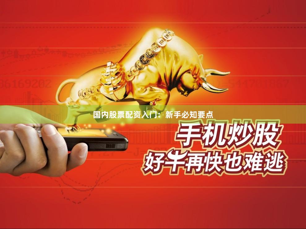 国内股票配资入门：新手必知要点