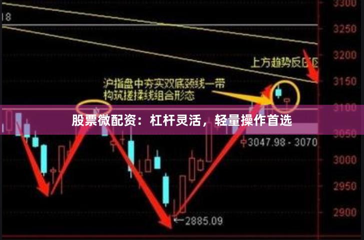股票微配资：杠杆灵活，轻量操作首选